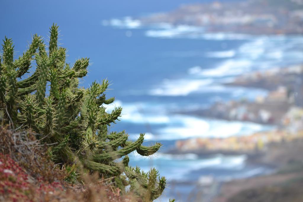 Mirador Del Gallego Santa Maria de Guia de Gran Canaria Δωμάτιο φωτογραφία